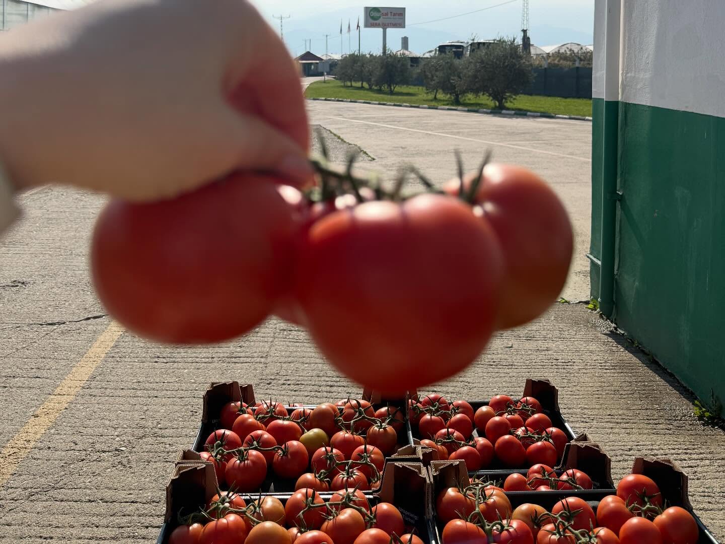 Değerli Üyemiz Onur Market’in Mani “Onursal Tarım İşletmesi”ni, Başkanımız Rahmi Kartal başkanlığındaki İstanbul PERDER heyetimizle birlikte ziyarette bulunduk.